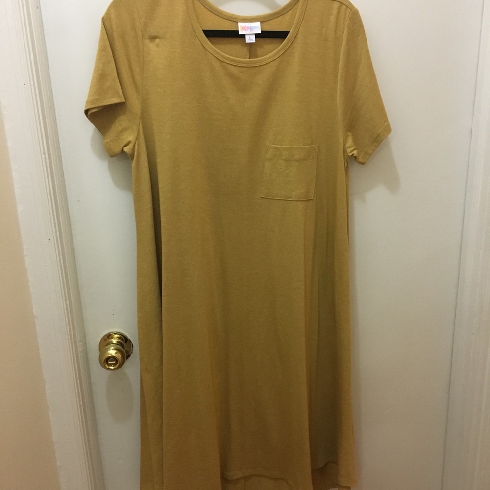 ***SOLID*** 🆕 L Carly